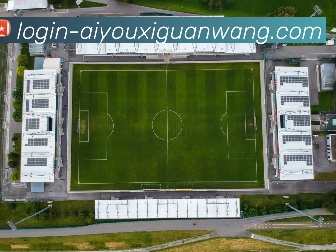 爱游戏发展历程